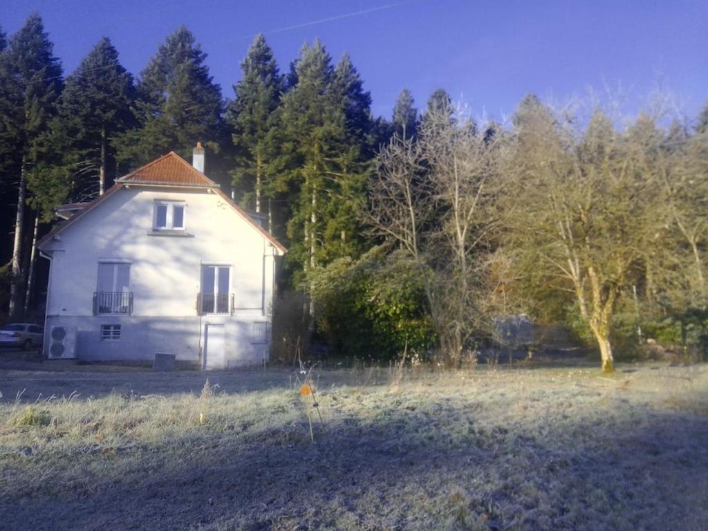 Vosges House 110 M2 In The Heart Of Nature L'Oree Du Bois Saint-Michel-sur-Meurthe Екстериор снимка