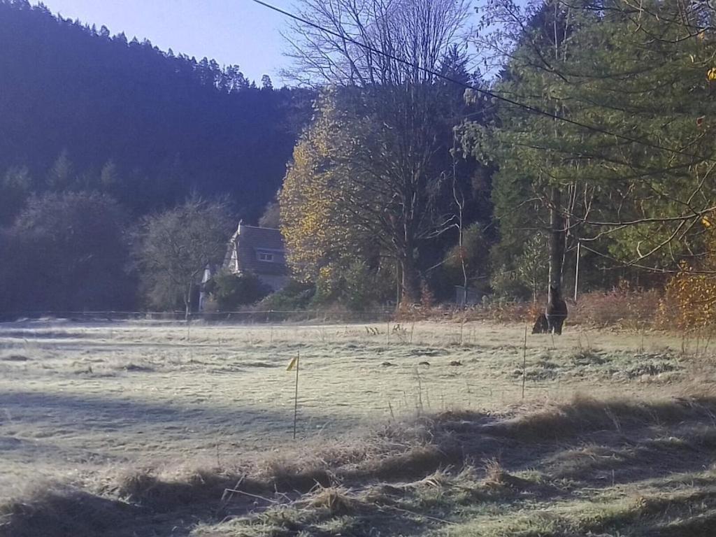 Vosges House 110 M2 In The Heart Of Nature L'Oree Du Bois Saint-Michel-sur-Meurthe Екстериор снимка