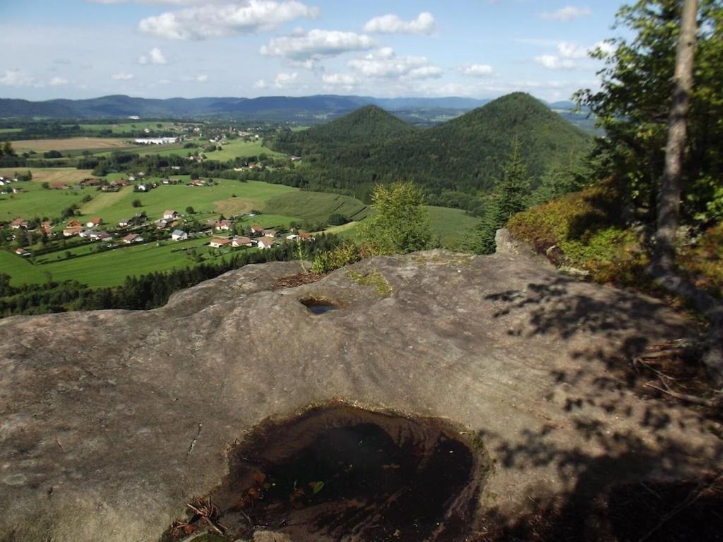 Vosges House 110 M2 In The Heart Of Nature L'Oree Du Bois Saint-Michel-sur-Meurthe Екстериор снимка