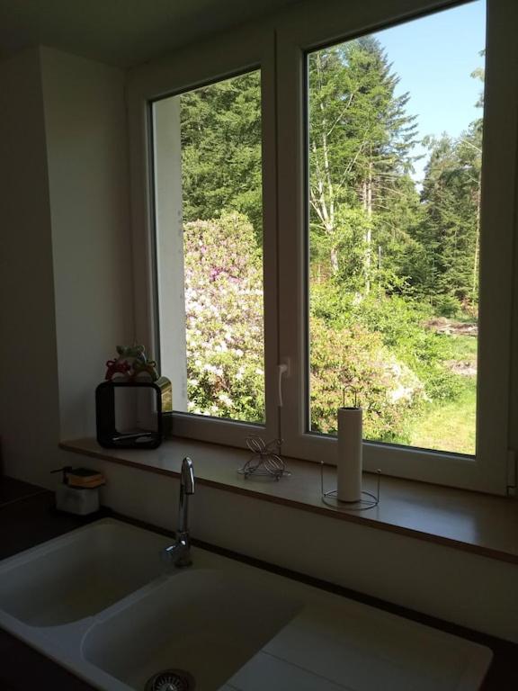 Vosges House 110 M2 In The Heart Of Nature L'Oree Du Bois Saint-Michel-sur-Meurthe Екстериор снимка