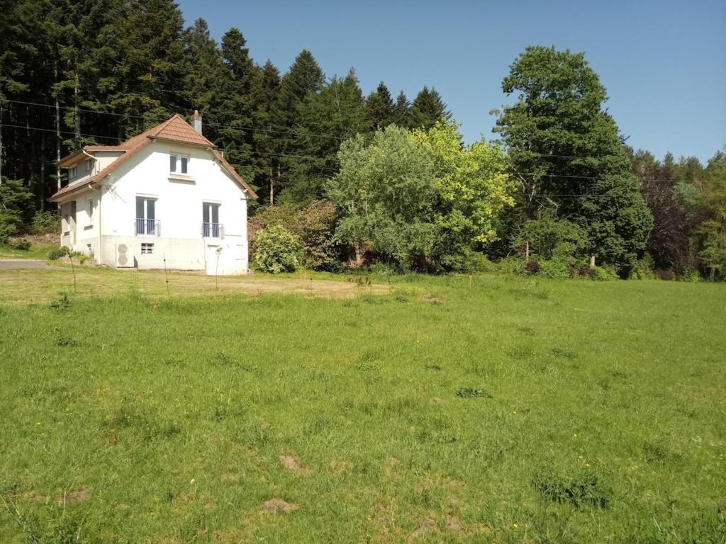 Vosges House 110 M2 In The Heart Of Nature L'Oree Du Bois Saint-Michel-sur-Meurthe Екстериор снимка