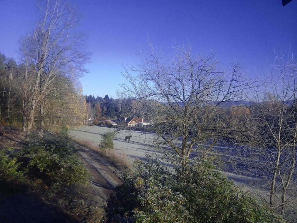 Vosges House 110 M2 In The Heart Of Nature L'Oree Du Bois Saint-Michel-sur-Meurthe Екстериор снимка