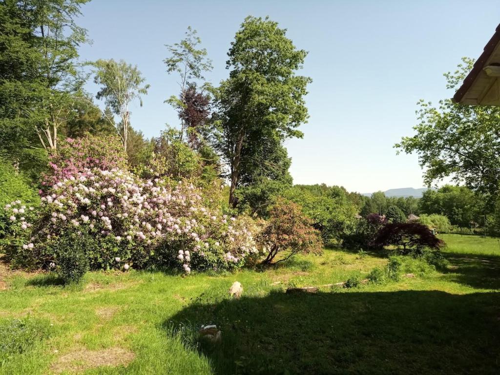 Vosges House 110 M2 In The Heart Of Nature L'Oree Du Bois Saint-Michel-sur-Meurthe Екстериор снимка